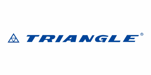 Triangle Logo